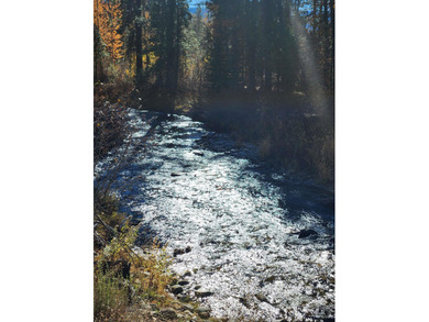 (private lake, pond, creek) Acreage Sale Pending in Featherville Idaho