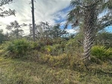 Port Charlotte Waterway Lakes Area Lot For Sale in Port Charlotte Florida