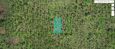 Lake Kissimmee Lot For Sale in Lake Wales Florida