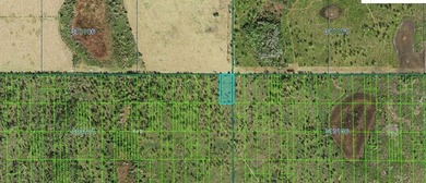 This 1.49-acre vacant  lot on Shady Oaks Drive in Lake Wales - photo 3