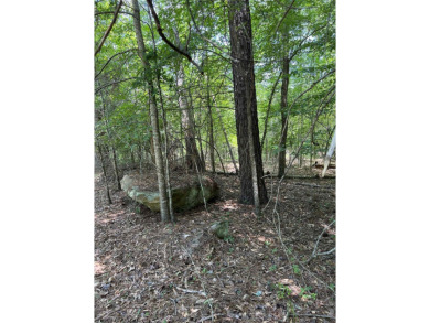 Lake Lot For Sale in Eatonton, Georgia