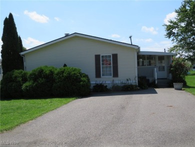 Ohio Farmettes Lake  Home Sale Pending in Ravenna Ohio