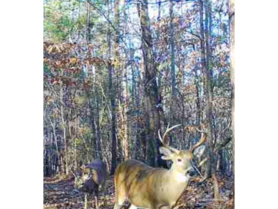 (private lake, pond, coastal) Acreage Sale Pending in Vredenburgh Alabama