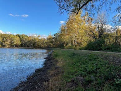 Lake Acreage For Sale in Irondale, Missouri