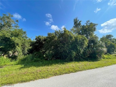 Make this lot yours today! Close to all Port Charlotte has to - photo 2