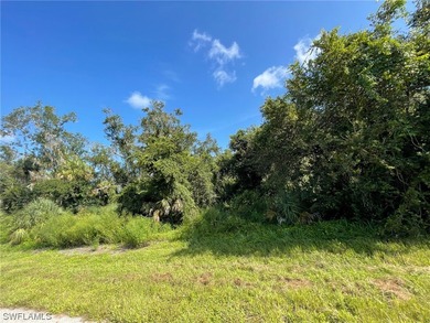 Make this lot yours today! Close to all Port Charlotte has to - photo 3
