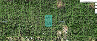 Lake Kissimmee Lot For Sale in Lake Wales Florida