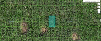 Lake Kissimmee Lot For Sale in Lake Wales Florida