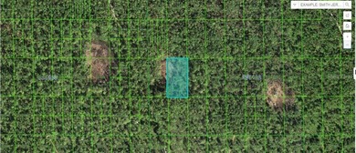Lake Kissimmee Lot For Sale in Lake Wales Florida