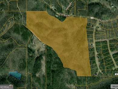 Lake Acreage For Sale in Jasper, Georgia