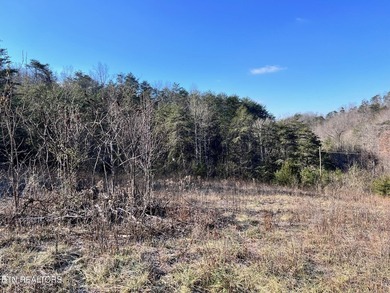 Welcome to Tract 2 on Bundren Mountain in beautiful East - photo 13