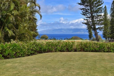 Welcome to 116 Pulelehua Street in Pineapple Hill Estates, where - photo 32