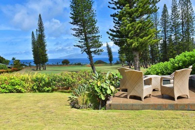 Welcome to 116 Pulelehua Street in Pineapple Hill Estates, where - photo 33
