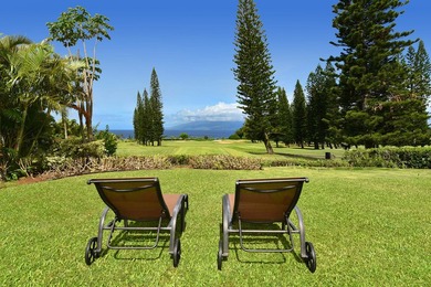 Welcome to 116 Pulelehua Street in Pineapple Hill Estates, where - photo 35