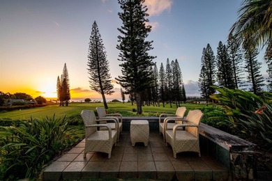 Welcome to 116 Pulelehua Street in Pineapple Hill Estates, where - photo 39