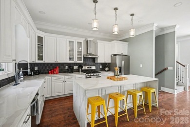 TURN KEY LUXURY  WITH CONSISTENT TRACK RECORD OF BOOKINGS YEAR - photo 4