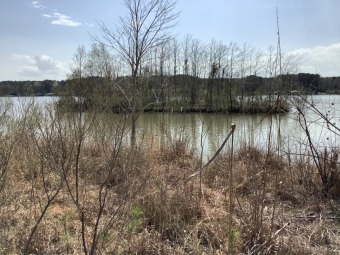 WATERFRONT LOT - Lake Lot For Sale in Pachuta, Mississippi