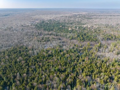 Lake Acreage For Sale in Marenisco, Michigan