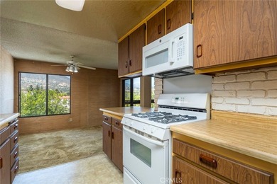 Headline: Rare Top-Floor Opportunity at Patio de Oro - First - photo 11
