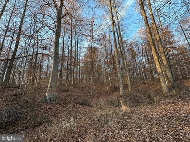 An extraordinary opportunity to acquire more than 1,230 - photo 22