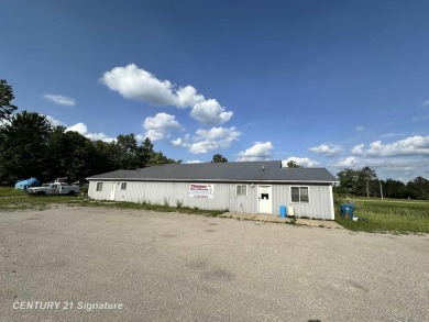 (private lake, pond, creek) Commercial For Sale in Beaverton Michigan