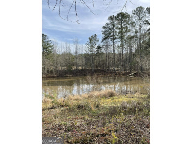 Lake Acreage For Sale in West Point, Georgia