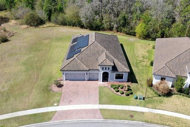 Luxury Living with Solar Savings on an Oversized Lot in - photo 3