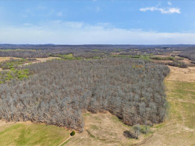 This expansive 210 acre farm features approximately 60 acres of - photo 11