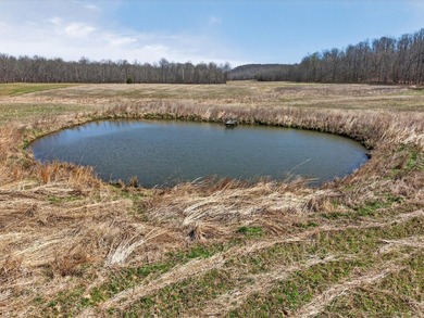 This expansive 210 acre farm features approximately 60 acres of - photo 16