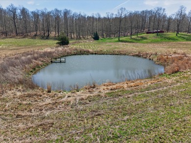 This expansive 210 acre farm features approximately 60 acres of - photo 17