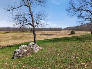 This expansive 210 acre farm features approximately 60 acres of - photo 21