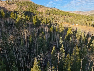 Panguitch Lake Lot For Sale in Panguitch Utah