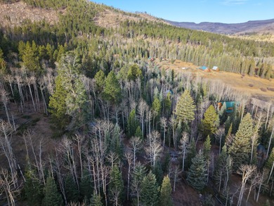 Panguitch Lake Lot For Sale in Panguitch Utah