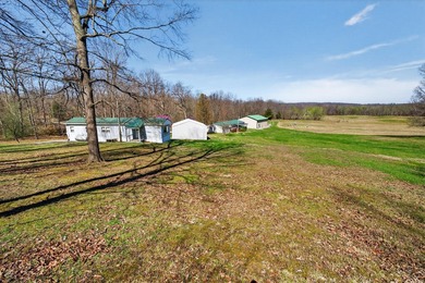 This expansive 210 acre farm features approximately 60 acres of - photo 49