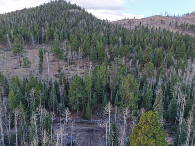 Panguitch Lake Lot For Sale in Panguitch Utah