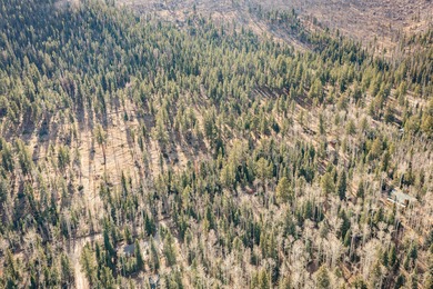 Panguitch Lake Lot For Sale in Panguitch Utah