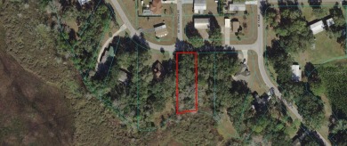 Lake Lot For Sale in Silver Springs, Florida