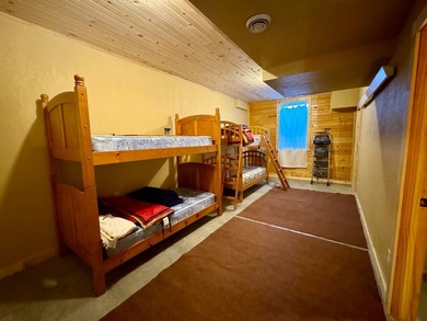Well maintained log cabin located on Clear Lake - Lake City, SD - photo 20