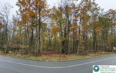 Lake Lot Off Market in Tobyhanna Twp, Pennsylvania