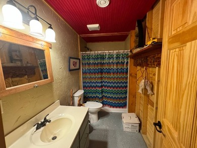Well maintained log cabin located on Clear Lake - Lake City, SD - photo 21