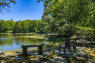 With approximately 150 feet of shoreline on scenic Division Pond - photo 33