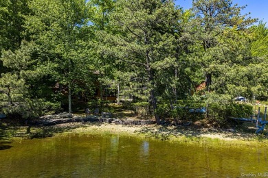 With approximately 150 feet of shoreline on scenic Division Pond - photo 34