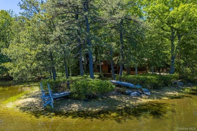 With approximately 150 feet of shoreline on scenic Division Pond - photo 35