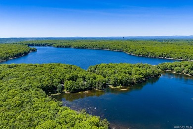 With approximately 150 feet of shoreline on scenic Division Pond - photo 36