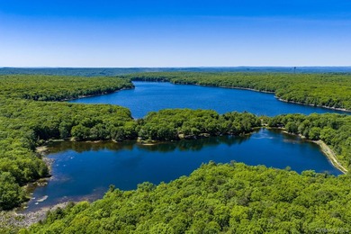 With approximately 150 feet of shoreline on scenic Division Pond - photo 37