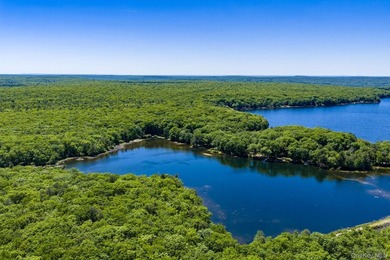 With approximately 150 feet of shoreline on scenic Division Pond - photo 38
