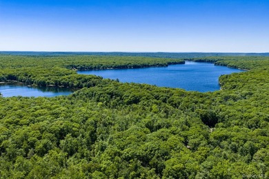 With approximately 150 feet of shoreline on scenic Division Pond - photo 39