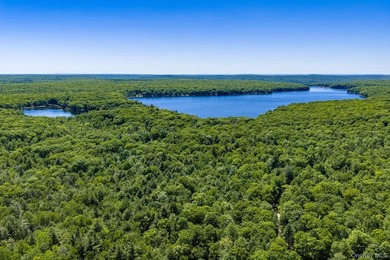 With approximately 150 feet of shoreline on scenic Division Pond - photo 40
