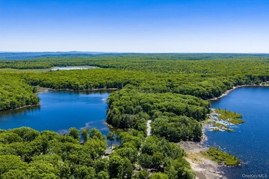 With approximately 150 feet of shoreline on scenic Division Pond - photo 41