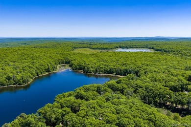With approximately 150 feet of shoreline on scenic Division Pond - photo 42